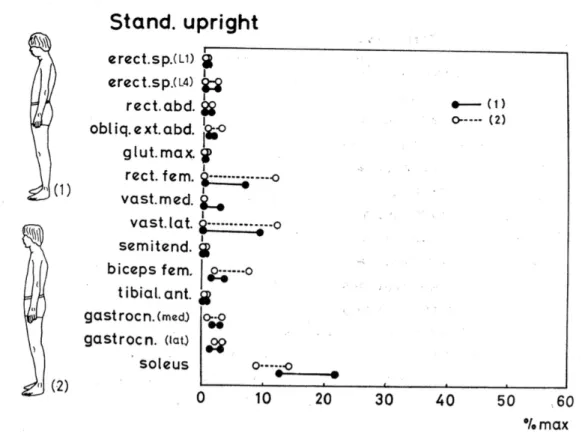 Fig. 5 : Illustration de l’activité électromyographique de la posture debout naturelle (1) et au garde à vous (2)  d’après Okada (1972)