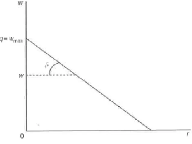 FIGURE 2.1 The neoclassical wage-profit frontier 