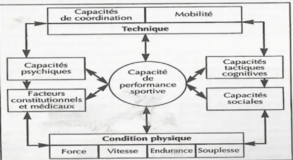 Figure 1 : Graphique de la performance optimale par Weineck (2007) 