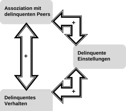 Abbildung 4. Delinquenzspirale nach Thornberry (1987). 