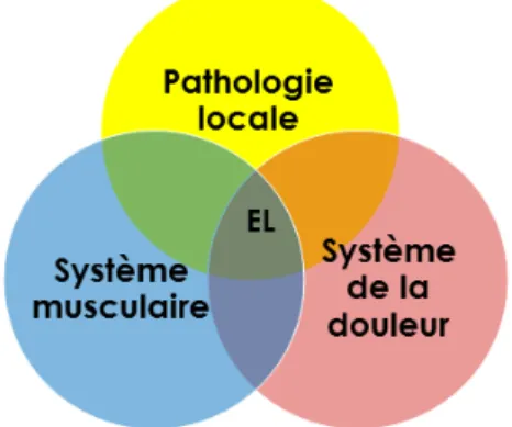 Figure 2 : modèle de la physiopathologie  de l’EL (Coombes et al., 2009) 