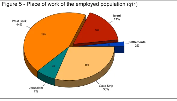 Figure 5 - Place of work of the employed population  (q11)