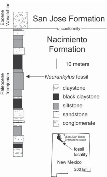 Figure 1. Map of New Mexico and stratigraphic column showing the geographic (San Juan Basin) and stratigraphic (Paleocene Torrejonian North American Land Mammal ‘ Age ’ ) location of where the holotype of Neurankylus torrejonensis (NMMNH P-9049) was found.