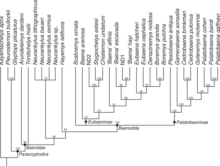 Figure 6. Fifty percent majority rule tree topology resulting from the phylogenetic analysis presented herein