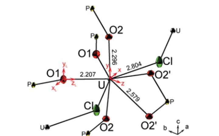 Figure 1. ORTEP representation of the [U IV O 6 Cl 2 ] chromophore in UPO 4 Cl given with the second coordination sphere and coordinate systems for the central atom (global coordinate system) and one ligand as example (index L)