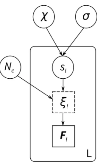 Figure S2: Directed acyclic graph describing the Wright-Fisher model examined in this study