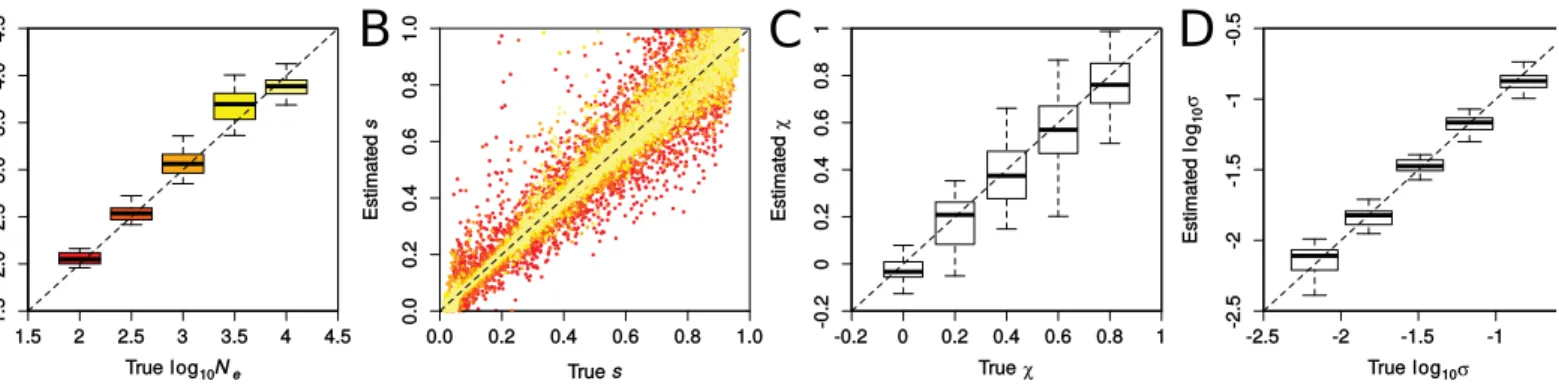 Figure S4: Accuracy in inferring demographic and selection parameters using the PLS 5/2 set of statistics