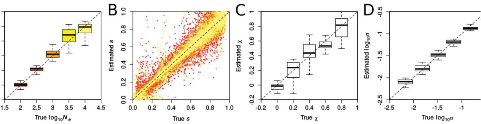 Figure S5: Accuracy in inferring demographic and selection parameters using the PLS 3/1 set of statistics