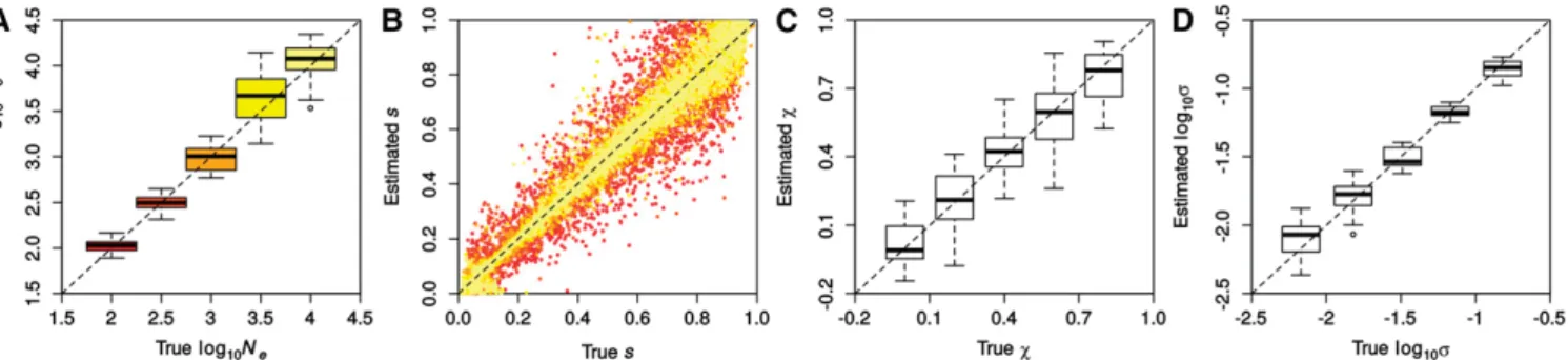 Figure 3 Accuracy in inferring demographic and selection parameters. Results were obtained with ABC-PaSS using a single combination of statistics for N e and each s (LC 1/1)