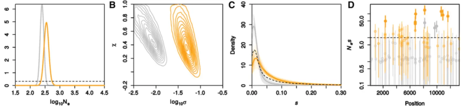 Figure 4 Inferred demography and selection for experimental evolution of inﬂuenza. We show results for the no-drug (control) and drug-treated in ﬂ uenza in gray and orange, respectively
