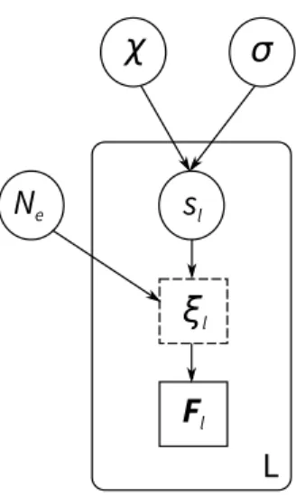 Figure S2: Directed acyclic graph describing the Wright-Fisher model examined in this study
