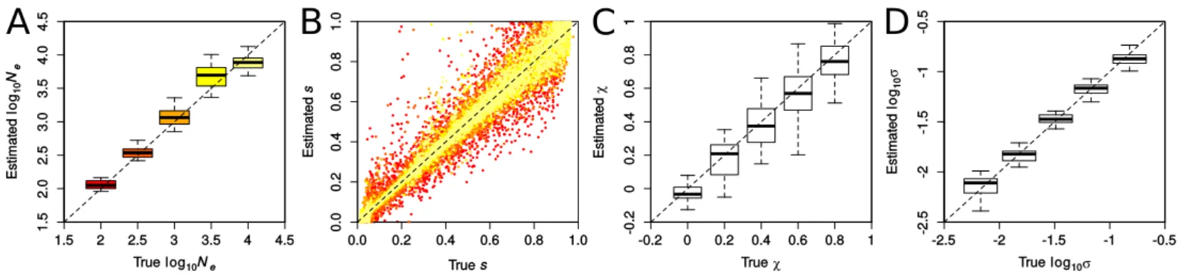 Figure S4: Accuracy in inferring demographic and selection parameters using the PLS 5/2 set of statistics