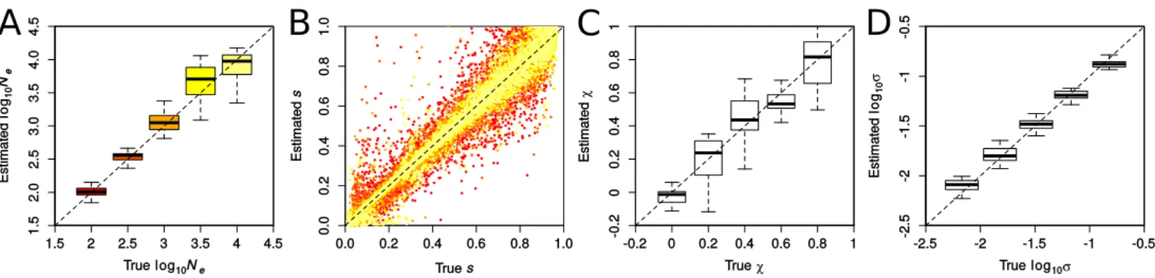 Figure S5: Accuracy in inferring demographic and selection parameters using the PLS 3/1 set of statistics