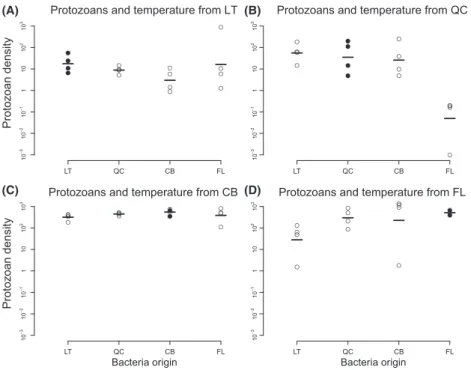 Figure 4. Response of protozoans to biotic conditions. This figure shows the response of (log-transformed) densities (individuals/mL) of protozoans when grown in their local temperature, in the presence of bacteria from the different origins