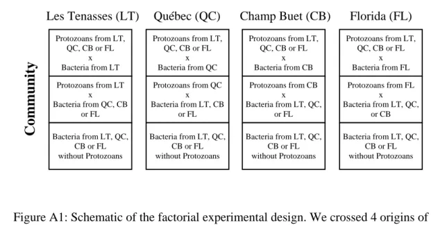 Figure A1: Schematic of the factorial experimental design. We crossed 4 origins of protozoan  173 