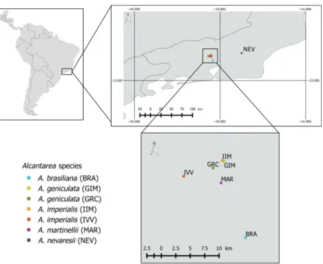 Table 1. Genetic diversity in populations of high-elevation Alcantarea spp. sampled in the Atlantic Rainforest of Brazil, including species afﬁliations, population names, geographical coordinates, number of chromosomes sampled (N) and the following genetic