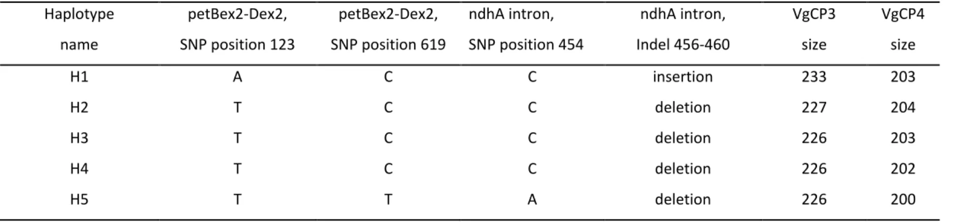 Table S3. Definition of plastid DNA haplotypes based on two Single Nucleotide Polymorphisms (SNPs) in region petBex2-Dex2 (Ebert &amp;  