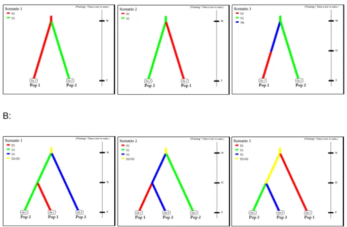 Figure S1 A: Basic ‘two-groups’ models compared using ABC. Pop 1 refers to  seeders and Pop 2 to resprouters