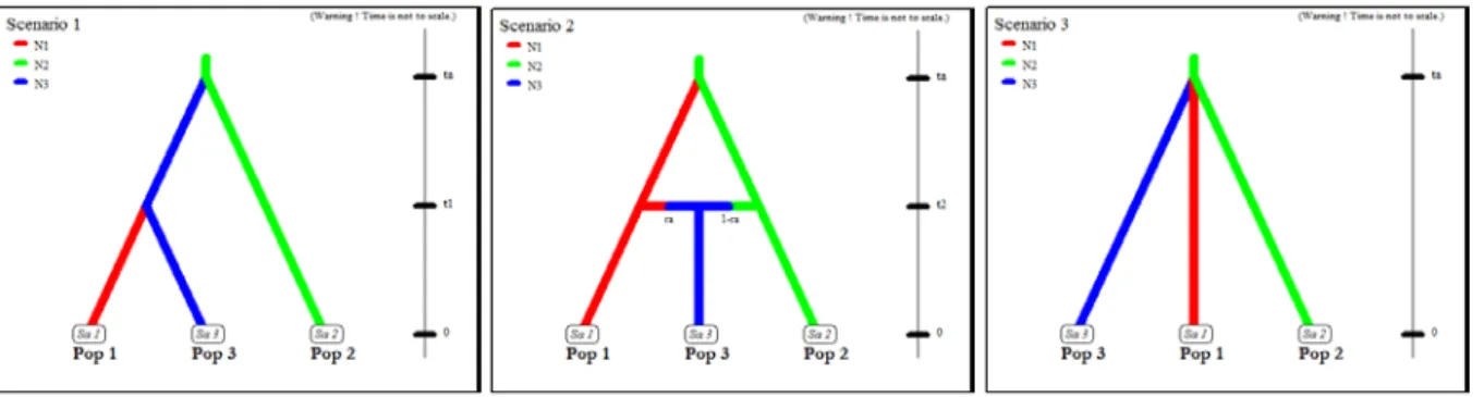 Figure S2 ‘Three-groups’ models compared using ABC. Pop 1 refers to seeder  populations, Pop 2 to resprouter populations, and Pop 3 to mixed populations