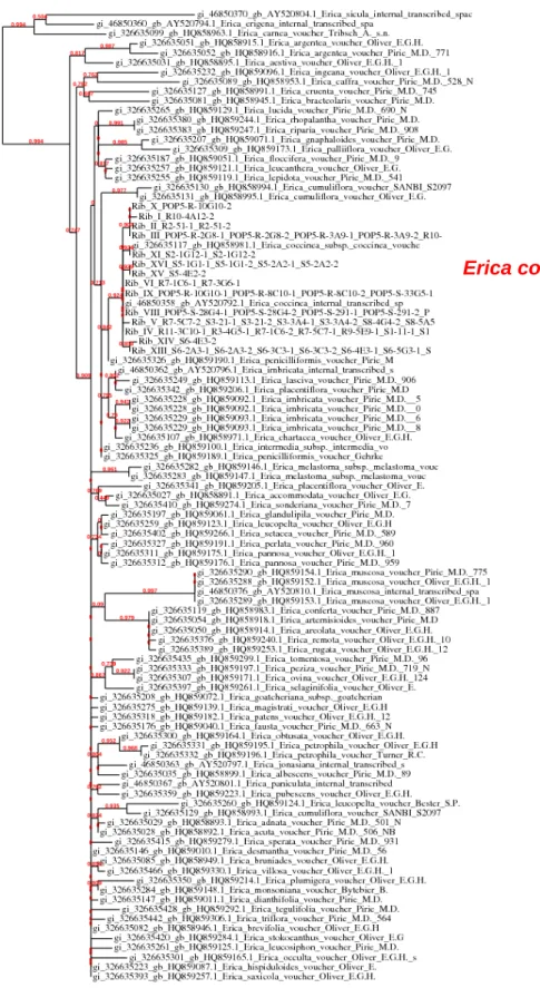 Fig. S4 Maximum likelihood phylogenetic tree obtained from PhyML. The branch  length is proportional to the number of substitutions per site