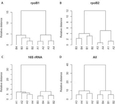 Fig. 4. Hierarchical clustering of all eight samples for each target. The relative distance corresponds to the distance between two individuals (A and B) calculated using the Euclidean distance and the Ward method of  hierar-chical clustering, on the norma