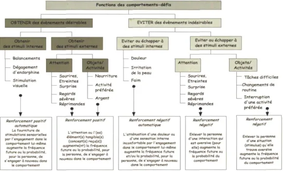 Figure 11 Fonctions des comportements-défis (Willaye &amp; Magerotte, 2013 : 93) 
