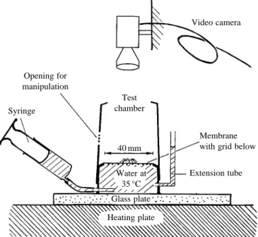Fig. 1. Bioassay system with test chamber, heating plate and video camera (for details, see text).