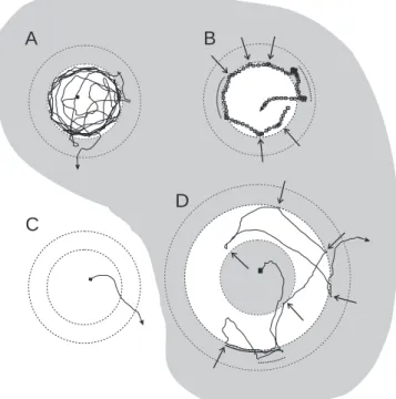 Fig. 2. Examples of tracks described by Boophilus microplus larvae on a dry patch with a wet (A,B) and dry (C) surround and a dry ring with wet surrounds (D)