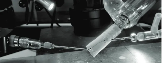 Figure II.2 M. sexta antenna mounted between 2 glass capillary electrodes (measuring electrode connected to the prea     $       % extension of the water-jacked glass tube to expose the entire antenna to the humid air