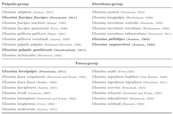 Table 1.2.: List of Glossina species arranged according to the three species groups.