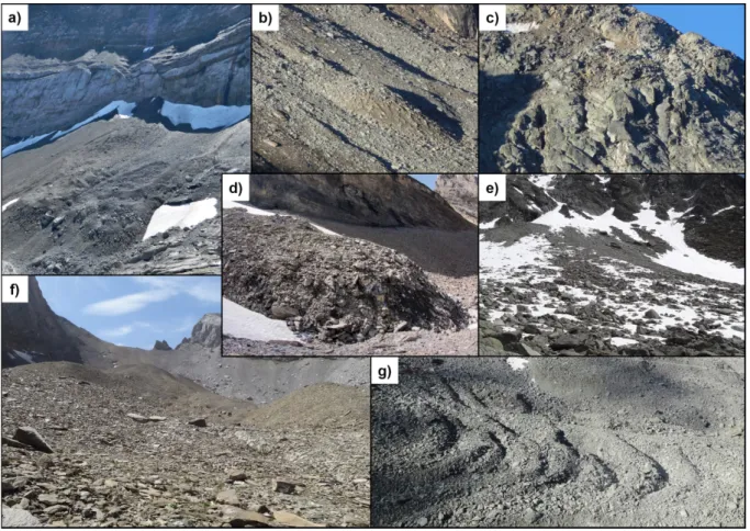 Fig. 2.5: Overview of periglacial landforms typical for the mountain permafrost domain: a) debris covered glacier at “Entre  la Reille”  (Les Diablerets, Photo kindly provided by Jean-Baptiste Bosson); b) protalus rampart  above “Crap da las  Ravulaunas” (
