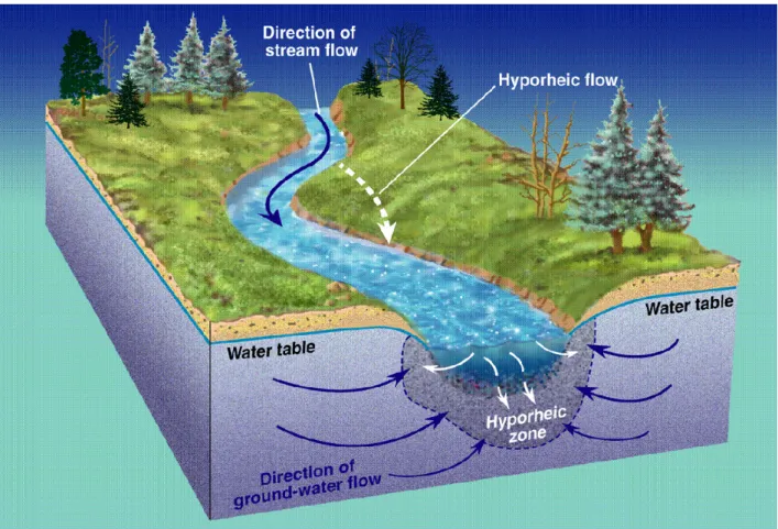 Figure 1.1. Groundwater-surface water interactions in an effluent stream (© USGS 2011).