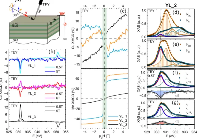 FIG. 5. (a) Sketch showing the YBCO/LCMO ML and the setup for the XMCD and XLD experiments in the TEY and TFY modes.