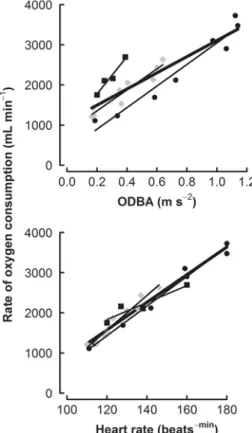 Table 1 Akaike’s information criterion (AIC) and pseudo R 2 values for general linear models to generate rate of oxygen consumption ( V_ O 2 ) prediction equations Equation n df AIC R 2_VO2*ODBA?participant ID22143208.9 0.98_