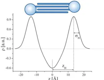 Figure 7. (A) Typical spherical vesicles are formed if the bilayer membrane leaﬂets are independent of each other and overall positive curvature C 0 is found