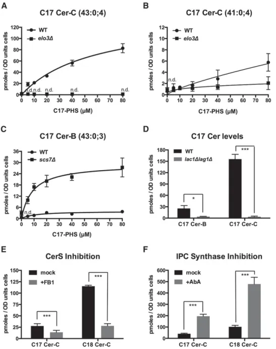 Fig. 4.  C17-PHS-dependent formation of ceramide is affected in sphingolipid mutants and is sensitive to  FB1