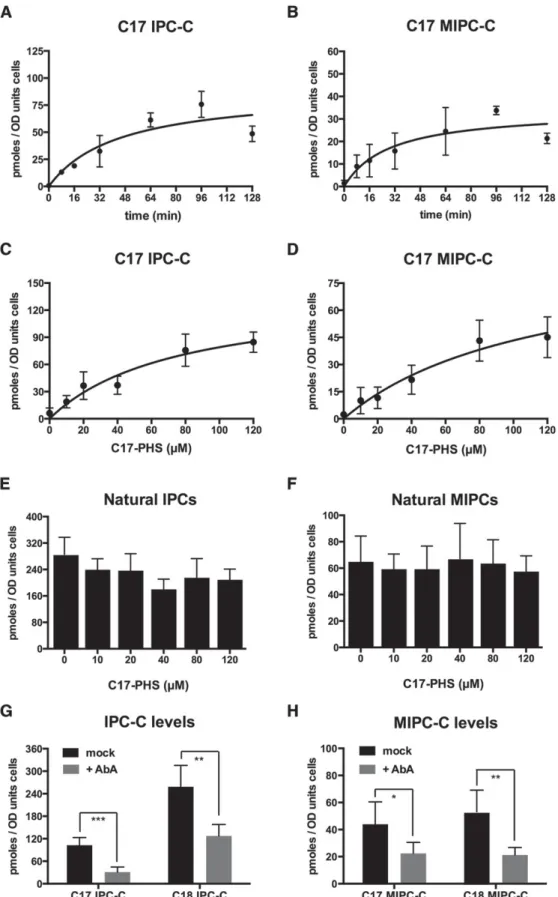 Fig. 5.  Incorporation of C17-PHS into complex sphingolipids, IPC and MIPC. Graphs show the time- and  concentration-dependent incorporation of C17-PHS into IPC (A, C) and MIPC (B, D)