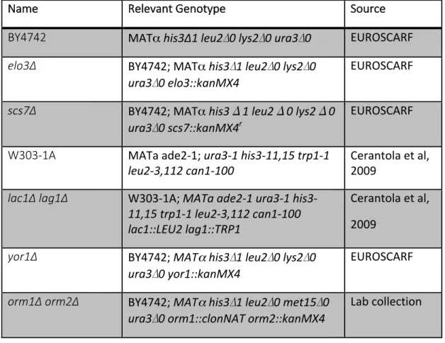 Table S1. Saccharomyces cerevisiae strains used in this study. 