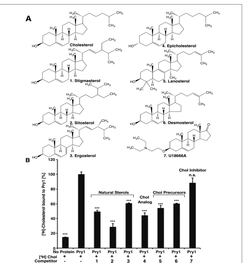 Figure 2: Specificity of sterol binding by Pry1. A) Structures of cholesterol and of the unlabeled sterols tested for their ability to compete with [3H]-cholesterol for binding to Pry1