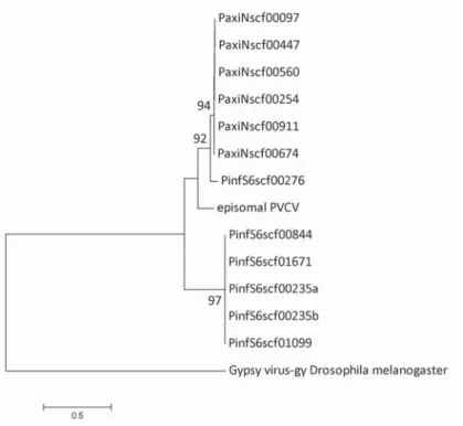 Figure 4: Similarity analysis of PVCV ORF1 insertions within P. axillaris N and P. inflata S6 genomes