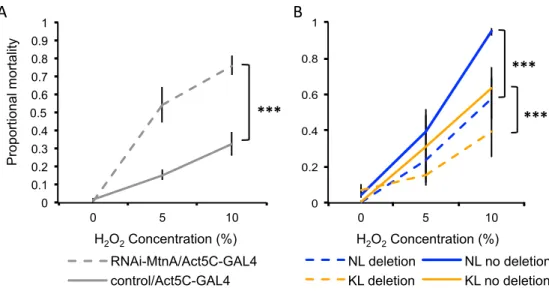 Fig 8. Proportional mortality after oxidative stress. (A) RNAi-mediated MtnA knockdown (hatched lines) and control flies (solid lines)