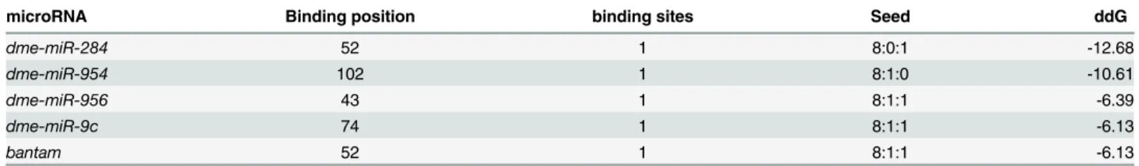 Table 4. Top scoring miRNAs predicted to bind within the polymorphic 49-bp sequence in the MtnA 3' UTR.
