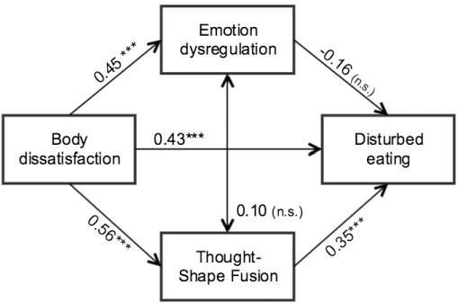 FIGURE 3: THE MEDIATION MODEL OF DISTURBED EATING IN MEN.  