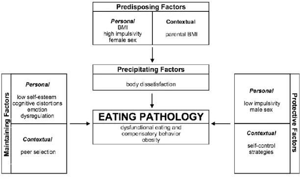 Figure 1: Extended Etiology Model of Pathological Eating Behavior. 