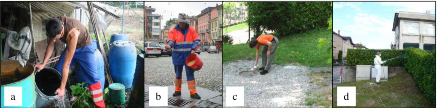 Figure 8. Control measures adopted against Ae. albopictus: a. removing breeding places; 