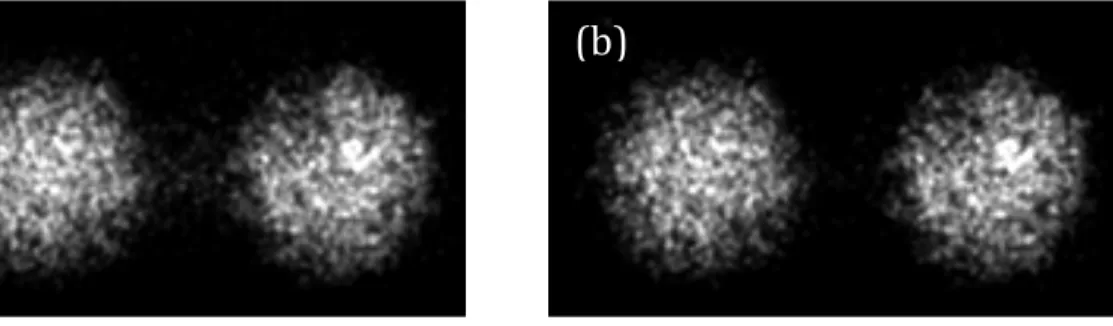 Fig. S1 (a) dSTORM image using all detected localization showing artifacts. (b) Selecting a threshold of  15nm results in improved quality dSTORM images
