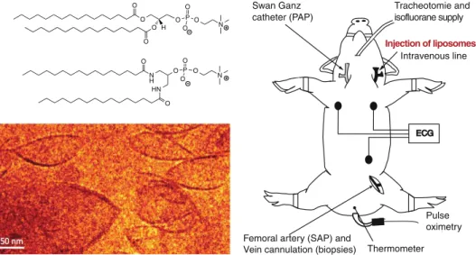 Figure 2 summarizes the results of the Pad-PC-Pad liposome tests using human sera in the ELISA assay for SC5b-9