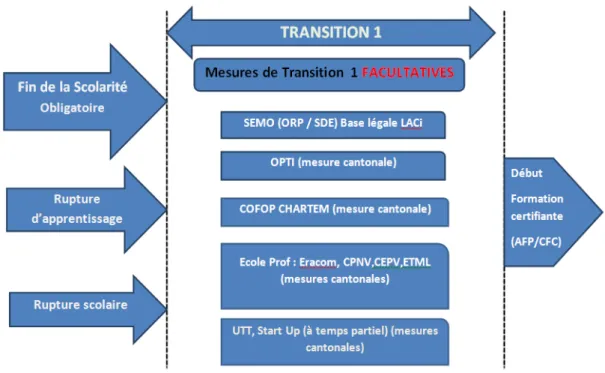 Figure 7 : Aperçu des mesures de transition dans le canton de Vaud pour les 15 - 25 ans 
