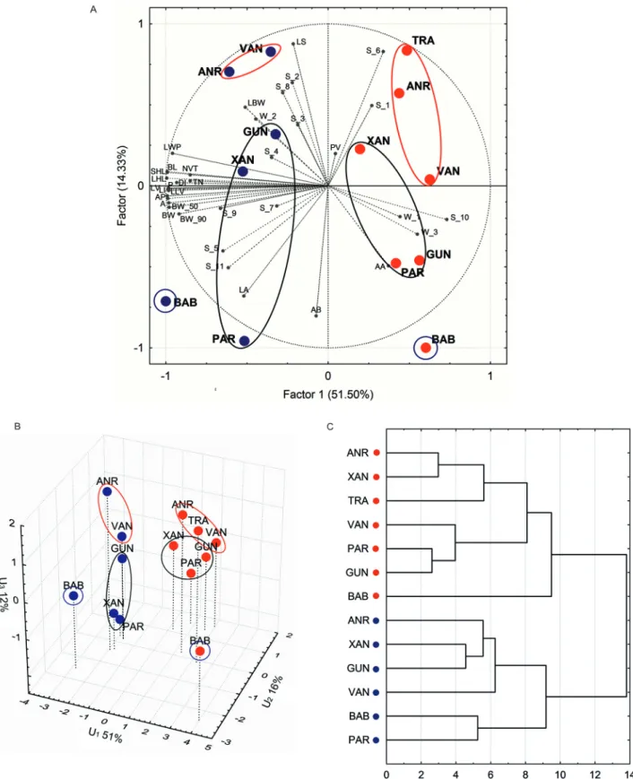 Fig. 3 Differentiation of populations of Zelkova carpinifolia (acronyms as in Table 1) based on:  •  – L-type shoot,  •  – S-type 