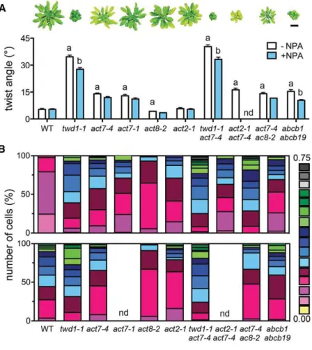 Figure 5. twd1 and act7 Show Overlapping Developmental Phenotypes.